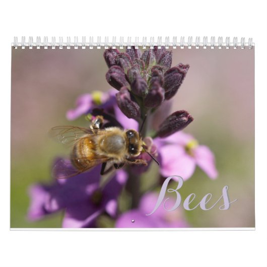 BIES DIY CALENDARS KALENDER (Titelbild)