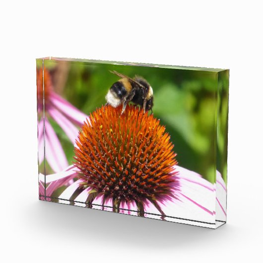 BIES FOTOBLOCK (Rechts)