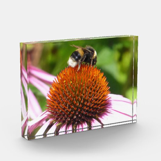 BIES FOTOBLOCK (Links)