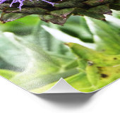 BIES FOTODRUCK (Ecke)