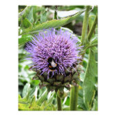 BIES FOTODRUCK (Vorne)