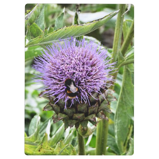 BIES KLEMMBRETT (Rückseite)