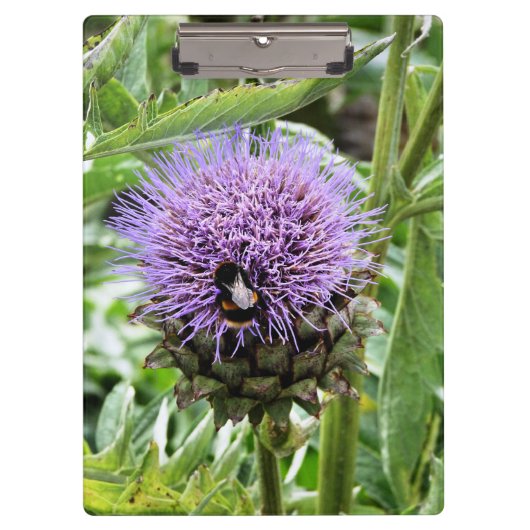 BIES KLEMMBRETT (Vorderseite)