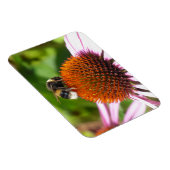 BIES MAGNET (Rechte Seite)