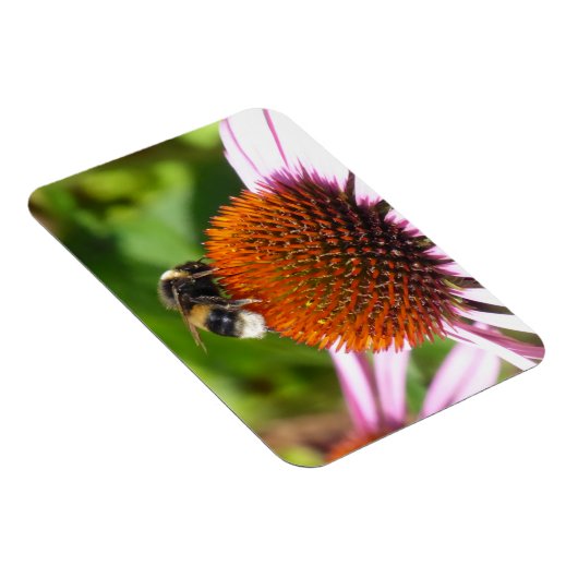 BIES MAGNET (Rechte Seite)