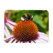 BIES MAGNET (Horizontal)