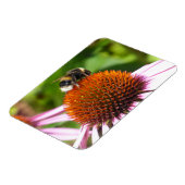 BIES MAGNET (Linke Seite)