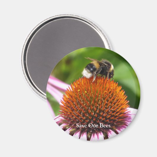 BIES MAGNET (Vorderseite/Rückseite)