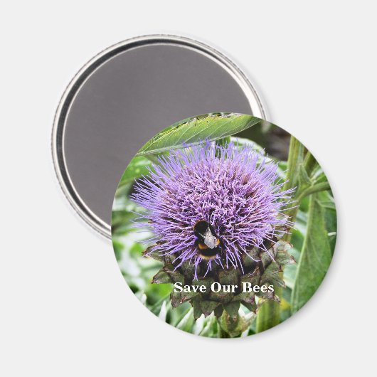 BIES MAGNET (Vorderseite/Rückseite)