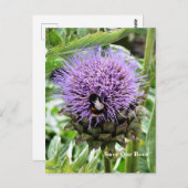 BIES POSTKARTE (Vorne/Hinten)