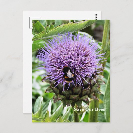 BIES POSTKARTE (Vorne/Hinten)