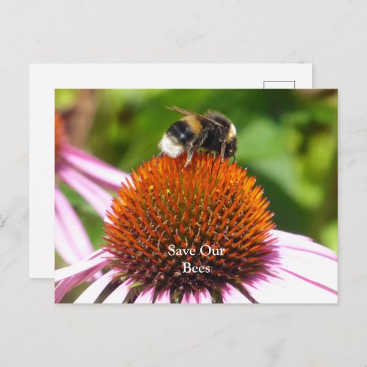 BIES POSTKARTE (Vorne/Hinten)