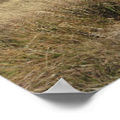 Bieszczady Berge Poster (Ecke)