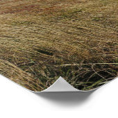 Bieszczady Panorama Poster (Ecke)