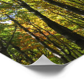 Bieszczady-Waldposter Poster (Ecke)