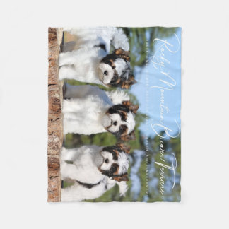 Biewer Terrier Blanket Fleecedecke