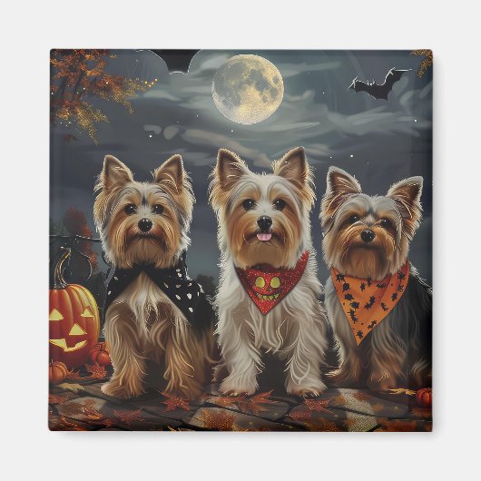Biewer Terrier Halloween Spooky Magnet (Vorne)