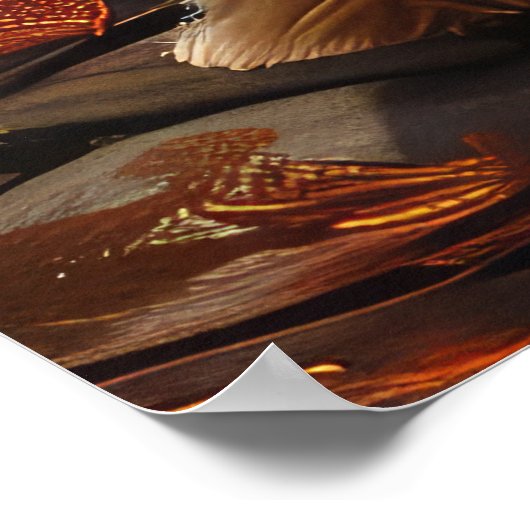 Biewer Terrier Halloween Spooky Poster (Ecke)