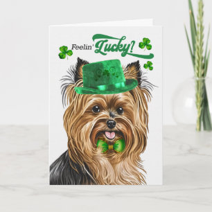Biewer Terrier Hund Glücklicher St. Patricks Tag Feiertagskarte