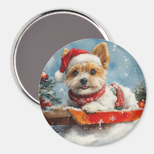 Biewer Terrier Hund im Schlitten Lass es schneien  Magnet