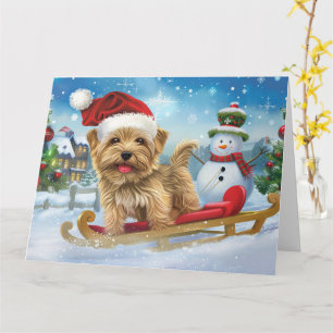 Biewer Terrier Hund im Schlitten Schnee Weihnachte Karte