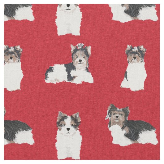Biewer Terrier Hund, rote Weihnachtssternis Stoff (Nahaufnahme)