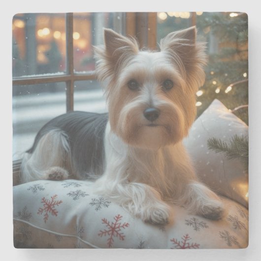 Biewer Terrier mit Weihnachtsbeleuchtung Feiertag Steinuntersetzer (Vorderseite)