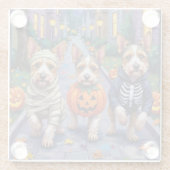 Biewer Terrier Trick-or-Treating Halloween-Kostüm Glasuntersetzer (Rückseite)