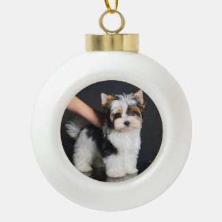 Biewer Terrier Weihnachtsschmuck Keramik Kugel-Ornament