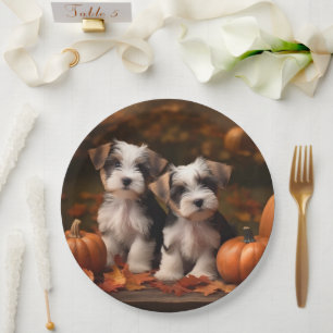 Biewer Terrier Welpe Herbstfreude Kürbis  Pappteller