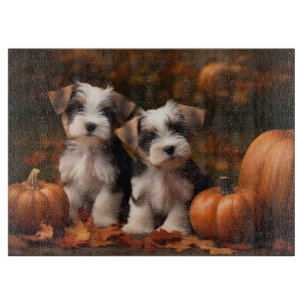 Biewer Terrier Welpe Herbstfreude Kürbis  Schneidebrett