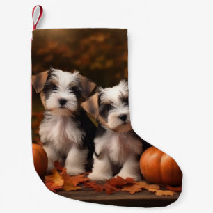 Biewer Terrier Welpe Herbstvergnügen Kürbis Kleiner Weihnachtsstrumpf