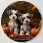 Biewer Terrier Welppy Autumn Delight Pumpkin Button (Vorderseite)