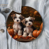 Biewer Terrier Welppy Autumn Delight Pumpkin Button (Beispiel)