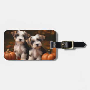 Biewer Terrier Welppy Autumn Delight Pumpkin Gepäckanhänger