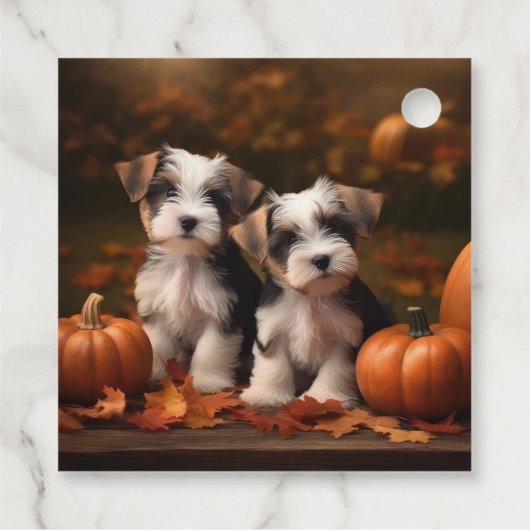 Biewer Terrier Welppy Autumn Delight Pumpkin Geschenkanhänger (Rückseite)