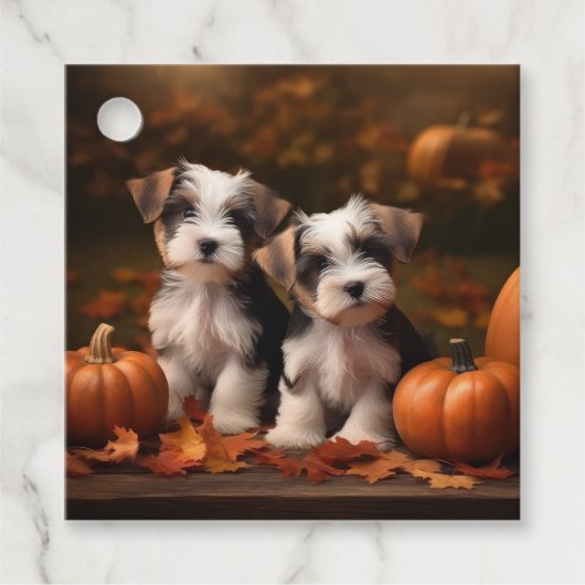 Biewer Terrier Welppy Autumn Delight Pumpkin Geschenkanhänger (Vorderseite)