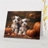 Biewer Terrier Welppy Autumn Delight Pumpkin Karte (Gelbe Blume)
