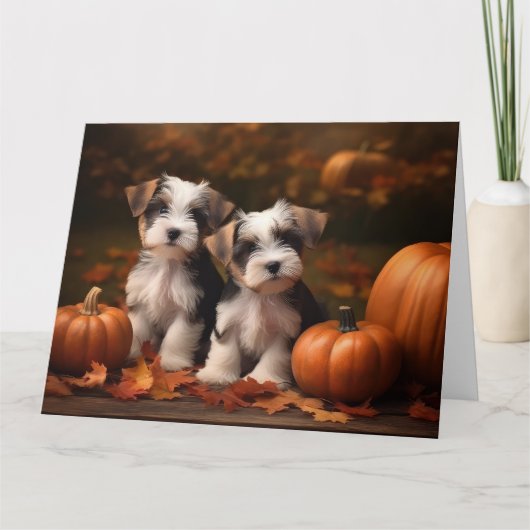Biewer Terrier Welppy Autumn Delight Pumpkin Karte (Vorderseite)