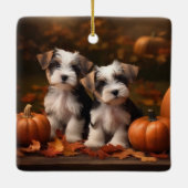 Biewer Terrier Welppy Autumn Delight Pumpkin Keramikornament (Rückseite)