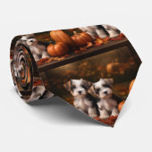 Biewer Terrier Welppy Autumn Delight Pumpkin Krawatte (Gerollt)