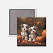 Biewer Terrier Welppy Autumn Delight Pumpkin Magnet (Vorderseite/Rückseite)