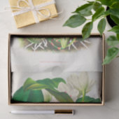 Bifrenaria Harrisoniae (Orchid) von Jean Linden Seidenpapier (Geschenk)