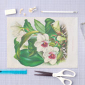 Bifrenaria Harrisoniae (Orchid) von Jean Linden Seidenpapier (Handwerk)