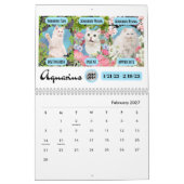 Big 3 Zeichen als Katzen im Garten 2023 Kalender (Feb 2027)