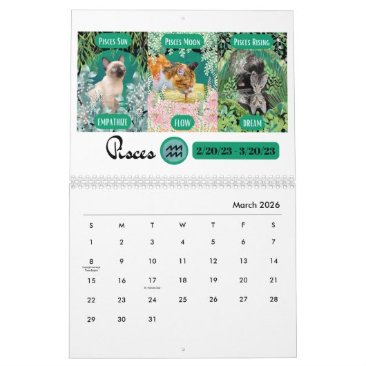 Big 3 Zeichen als Katzen im Garten 2023 Kalender (Mär 2026)