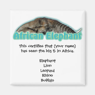 Big 5 Africa Wildlife Safari Magnete Magnet