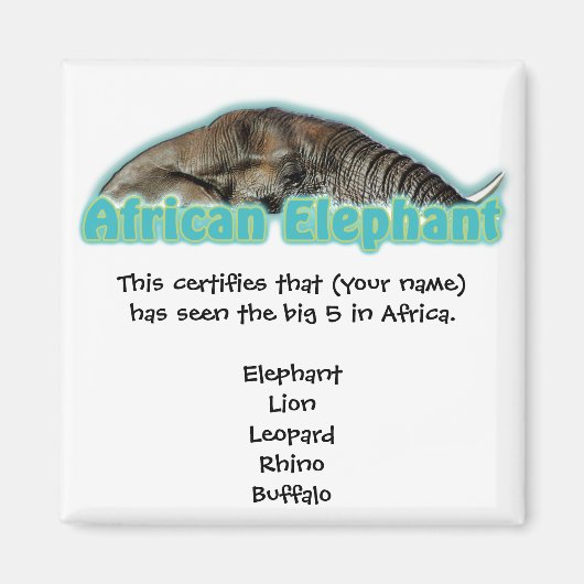 Big 5 Africa Wildlife Safari Magnete Magnet (Vorne)