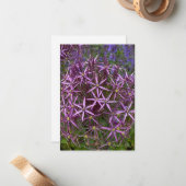 Big Allium Head Mitteilungskarte (Vorderseite/Rückseite Beispiel)