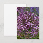Big Allium Head Mitteilungskarte (Vorne/Hinten)